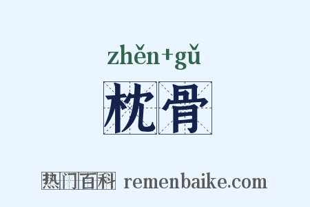 枕骨是什么意思的图片